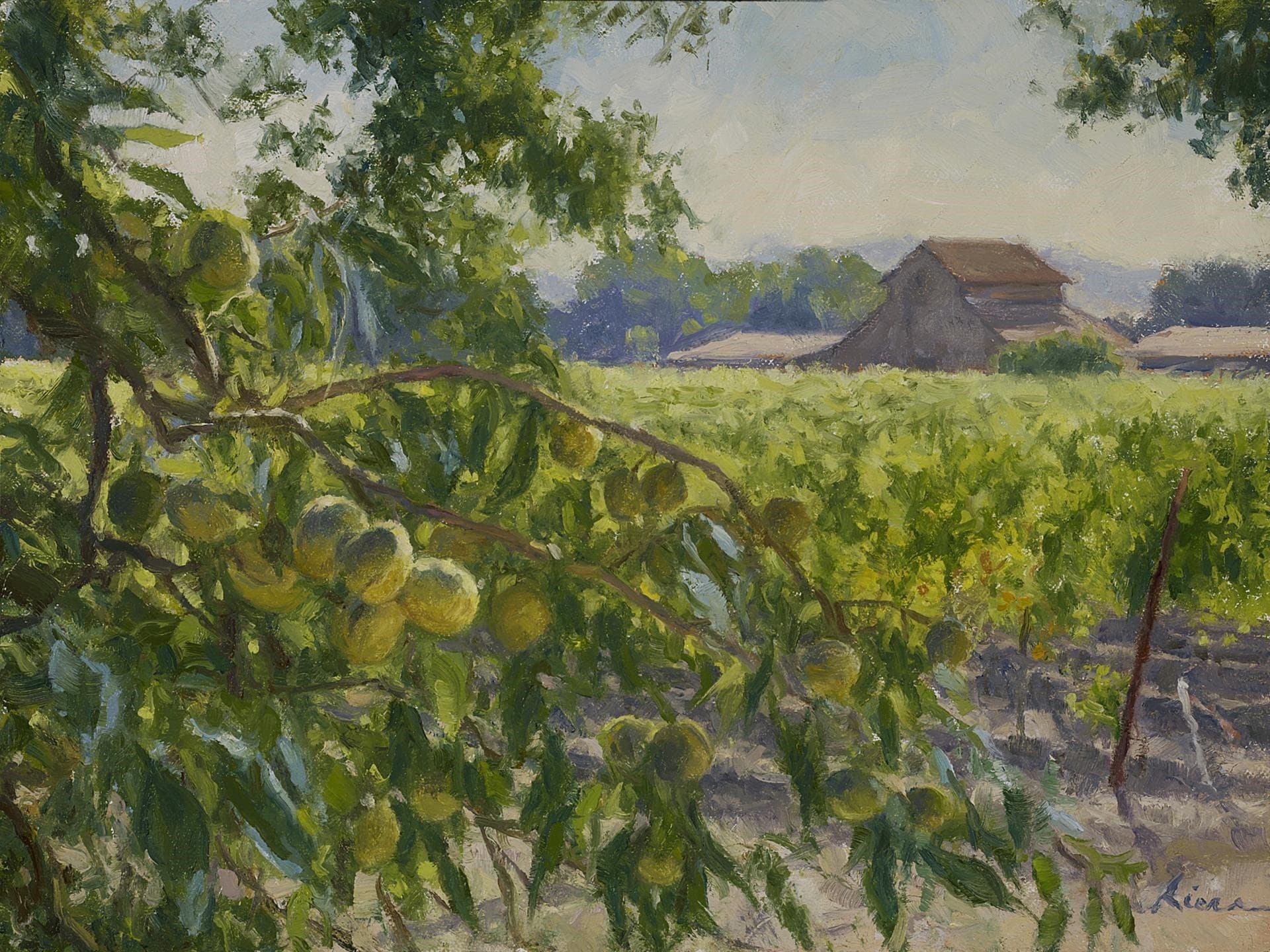 Almonds and Grapes